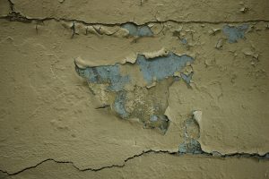 The Science of Adhesion