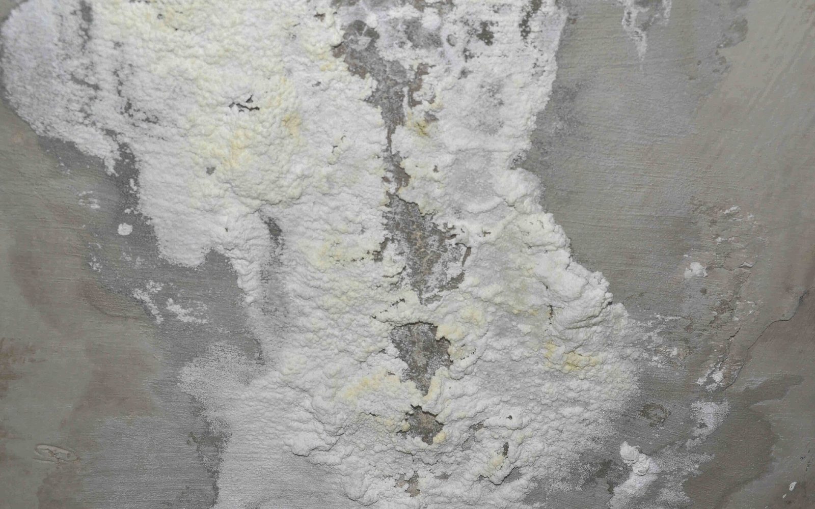 Efflorescence