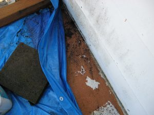 Elastomeric Wall & Roof Coatings