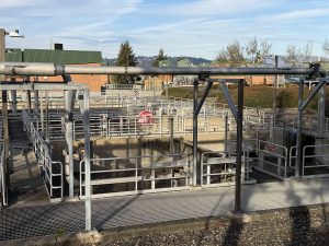 Water & Wastewater Coatings