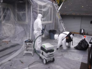 Lead Paint Removal